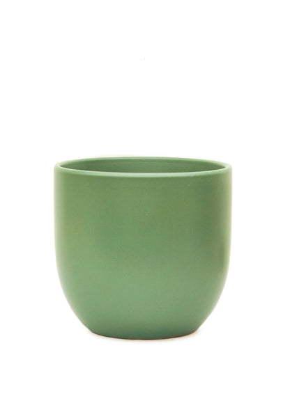 Rounded Ceramic Planter, Sage 5" Wide